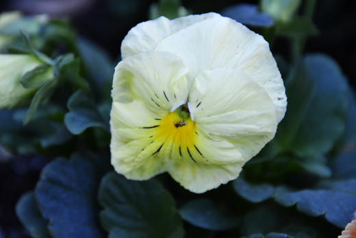 �1758547 �������(a): ����������:1920x1280